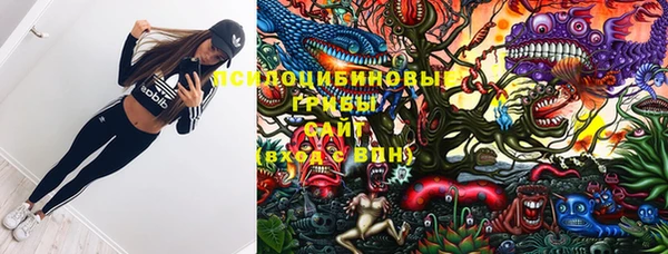 прущие крисы Бородино