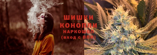 PSILOCYBIN Бронницы