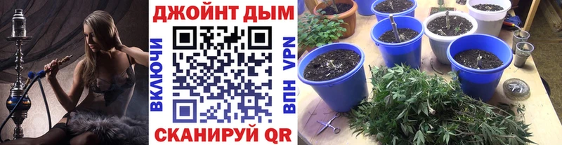 Марихуана планчик  купить   Гаврилов-Ям 